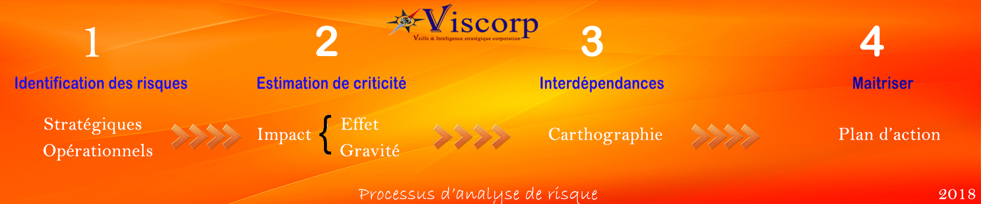 Processus risk management, viscorp; viscorp.net
