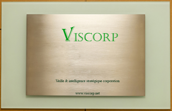 viscorp-viscorp-net-strategie-algerie
