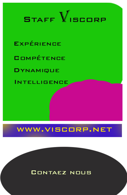 viscorp.net
